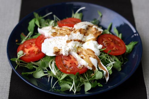 You are currently viewing Salade Tomate mozzarella sur lit de micro-pousses
